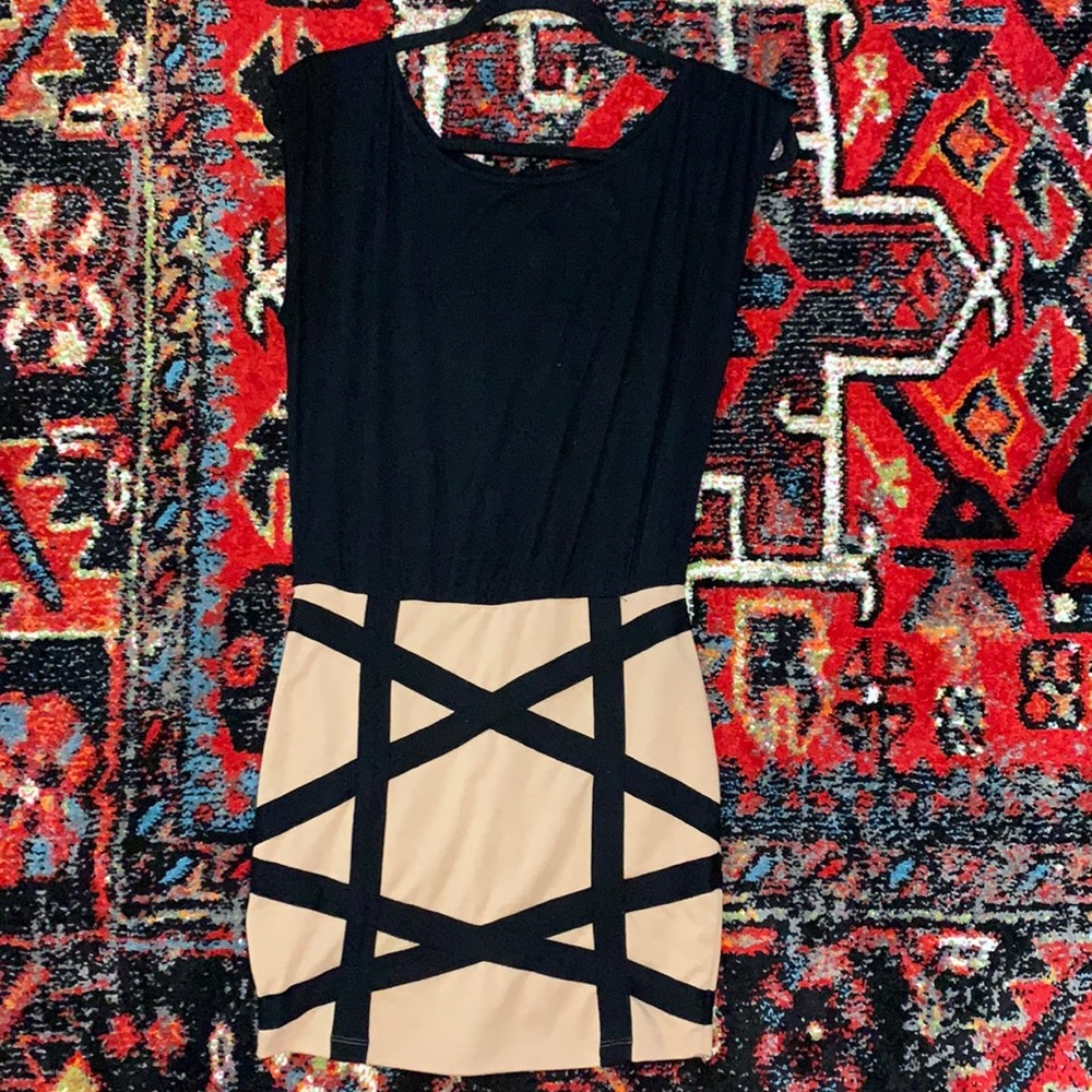 The Black and Tan Dress